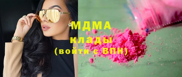 сатива Беломорск
