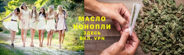 сатива Беломорск