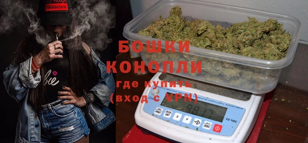 сатива Беломорск