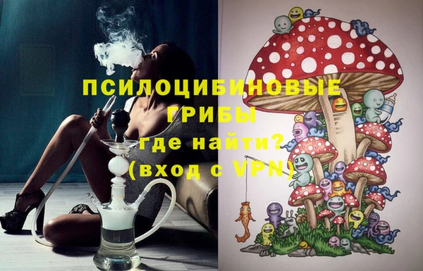 сатива Беломорск