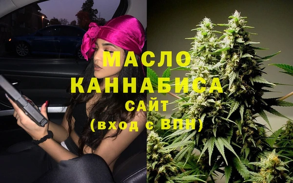 сатива Беломорск