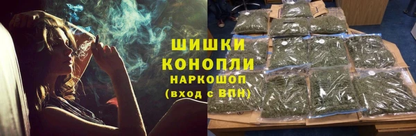 сатива Беломорск