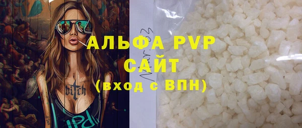 сатива Беломорск